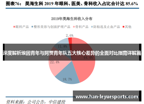 深度解析埃因青年与阿贾青年队五大核心差异的全面对比指南详解篇 深度解析埃因青年与阿贾青年队五大核心差异的全面对比指南详解篇