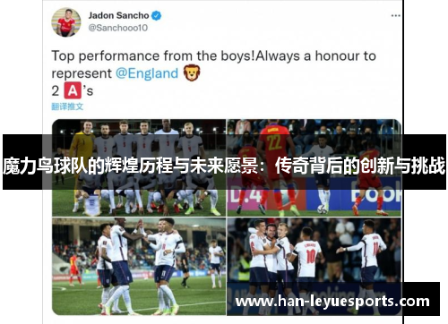 魔力鸟球队的辉煌历程与未来愿景:传奇背后的创新与挑战 魔力鸟球队的辉煌历程与未来愿景:传奇背后的创新与挑战